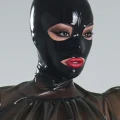 HJVEX232-1.webp